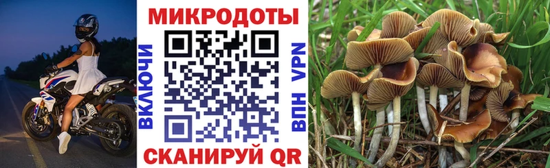 Псилоцибиновые грибы мицелий  купить наркотик  Печора 