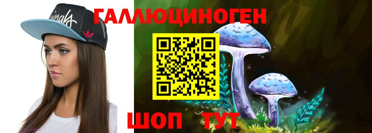 Псилоцибиновые грибы мухоморы  купить наркотики сайты  Печора  Вход с VPN 
